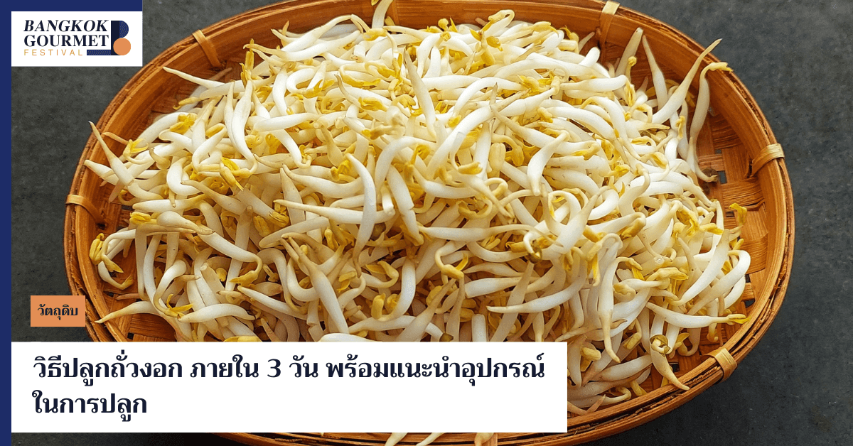 วิธีปลูกถั่วงอกง่ายแสนง่าย ภายใน 3 วัน เพียงแค่มีอุปกรณ์ปลูกถั่วงอกพื้นฐาน เช่น ทิชชู่หรือขวดพลาสติก วันนี้จะมาแชร์ถึงเคล็ดลับวิธีปลูกถั่วงอก พร้อมบอกถึงโทษและประโยชน์ของถั่วงอก และข้อควรระวังในการบริโภค