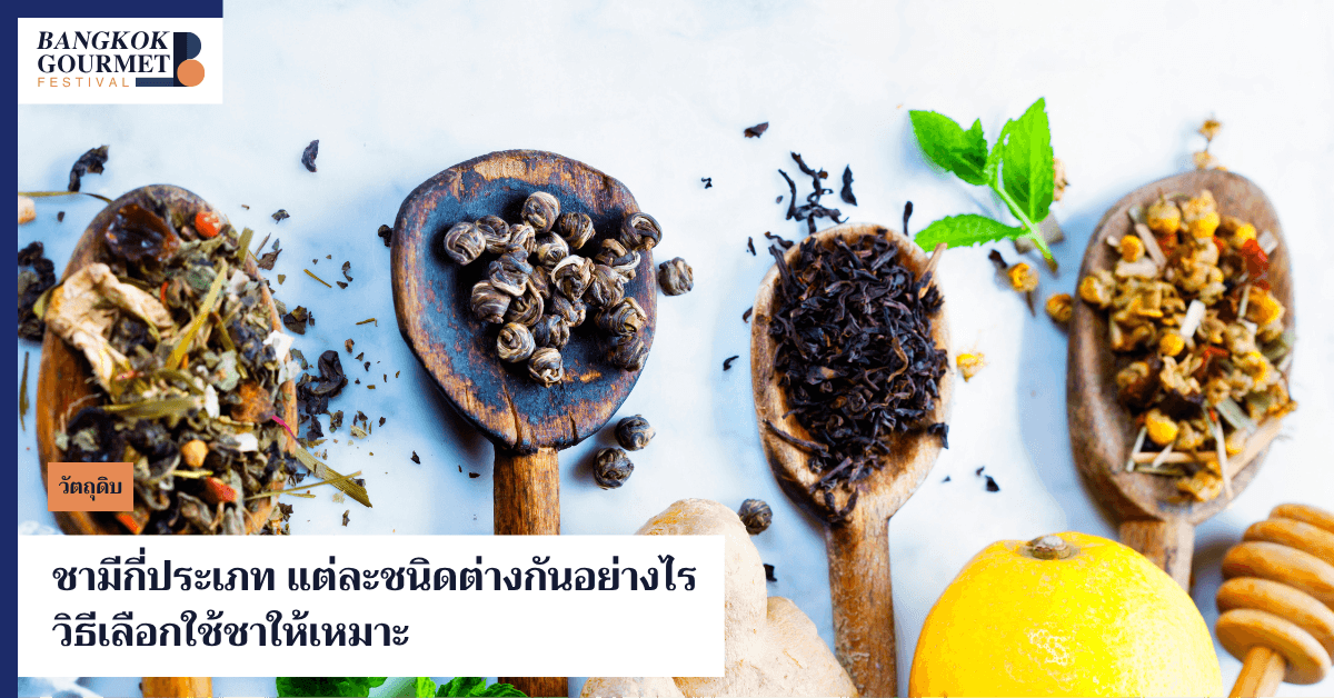 ชามีกี่ประเภท